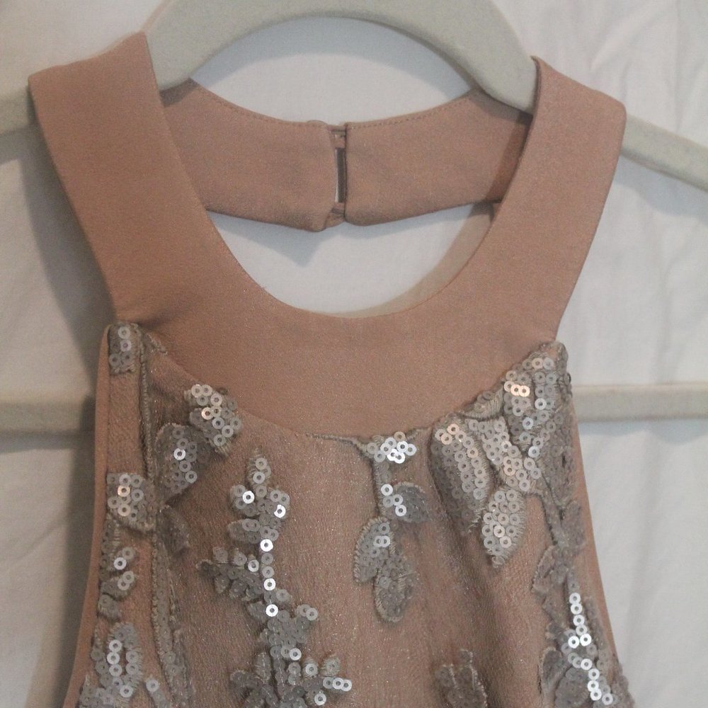 Dress The Population Sequin Dress